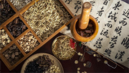 名医大家话健康 腹泻