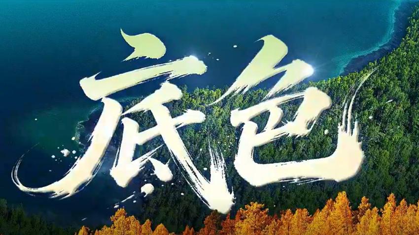 和谐共生｜底色