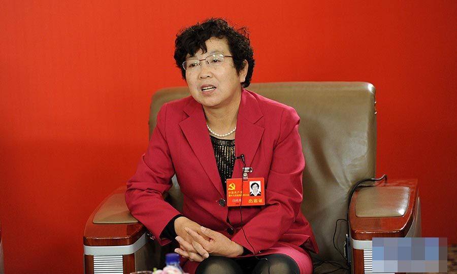 十八大新闻中心举行"中国的教育公平"网络访谈