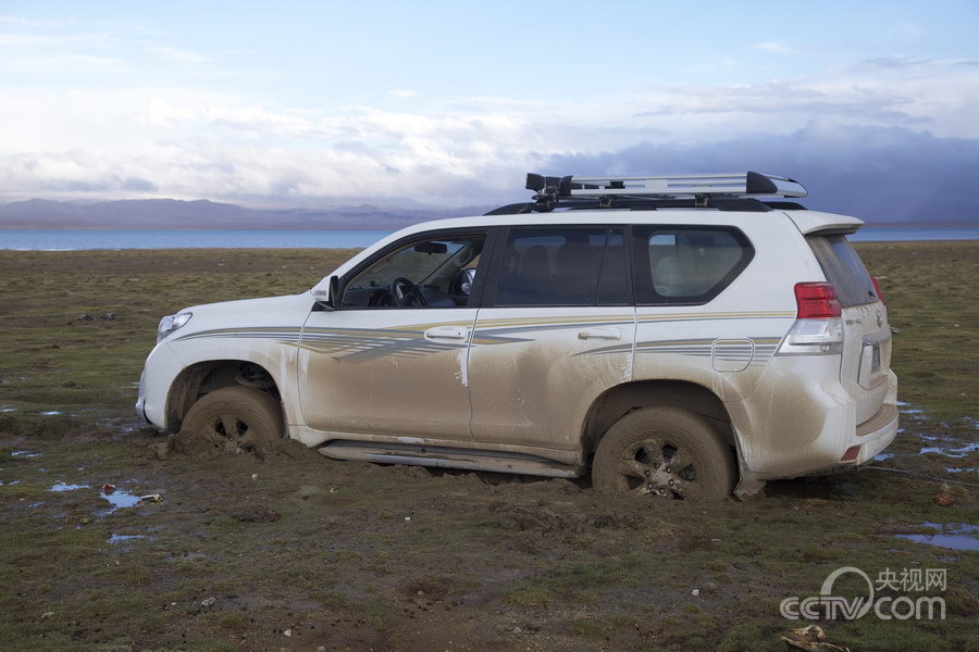 2013藏羚羊迁徙产仔 央视记者采点拍摄