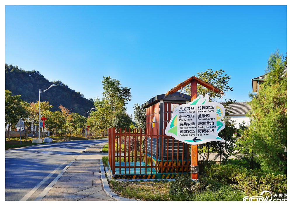 浙江鲁家村:这个赢得国际赞誉的乡村到底有多美?