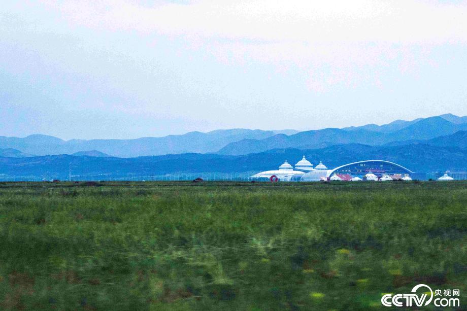 【新时代·幸福美丽新边疆】咬定“青山”不放松 感受青城绿色