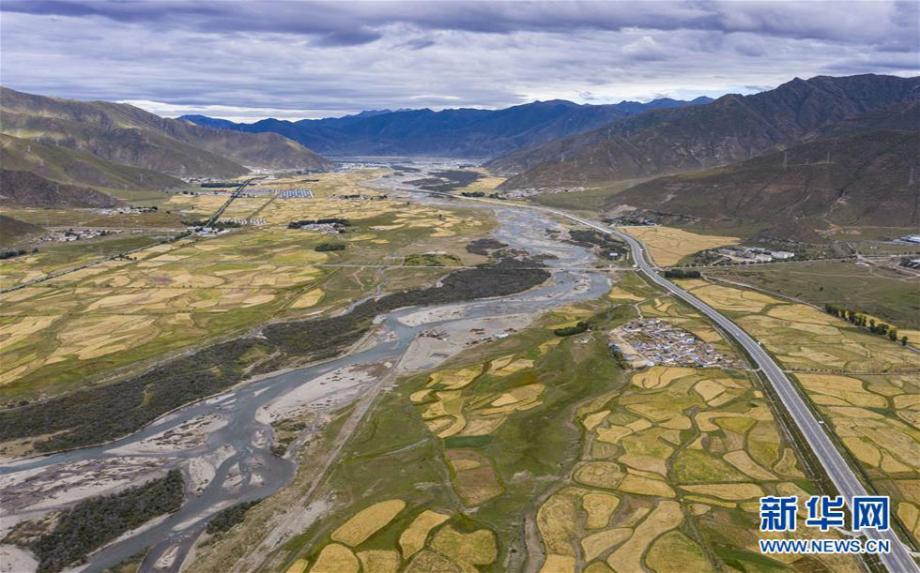 拉萨河谷:大地流金迎丰收