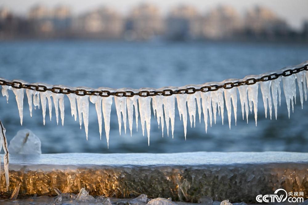 江苏昆山淀山湖畔现冰凌景观