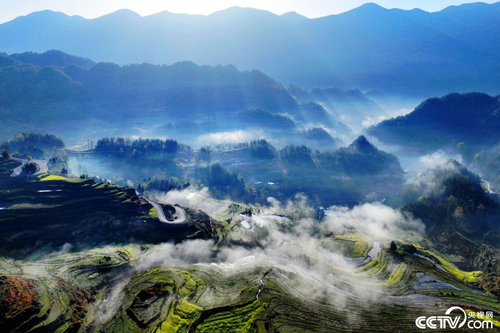 重庆乡村晨雾缭绕梯田层层叠叠