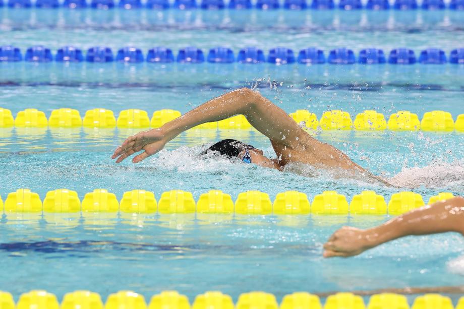[图]男子1500米自由泳 山东选手张展硕夺冠正规配资十大排名