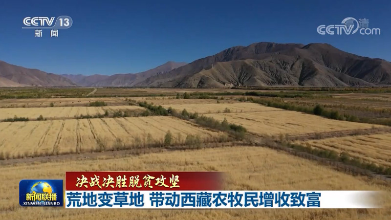 【决战决胜脱贫攻坚】荒地变草地 带动西藏农牧民增收致富