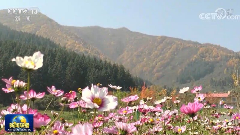 【落实全会精神在基层】青海卡阳村做大生态旅游 助力乡村振兴