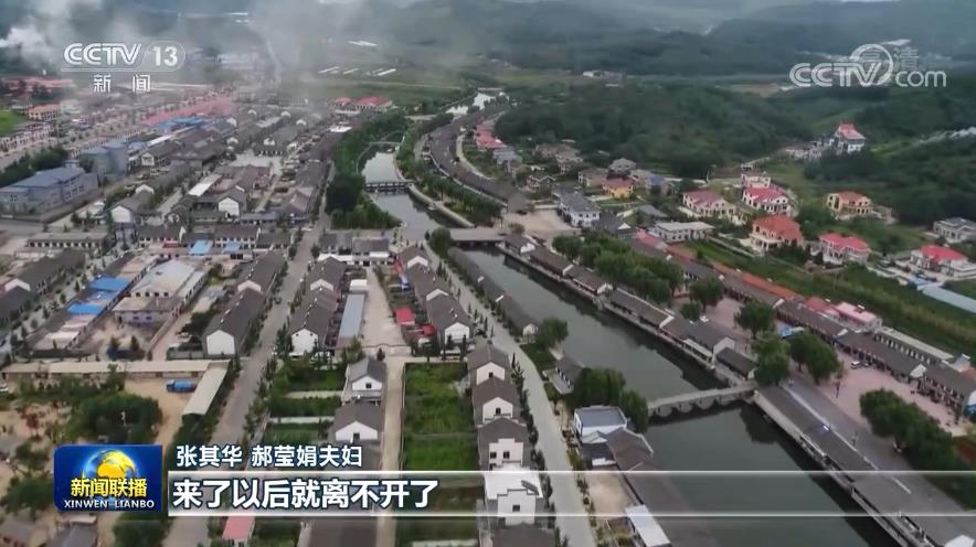 【走向我们的小康生活】大梨树村：科技加实干 助力乡村振兴