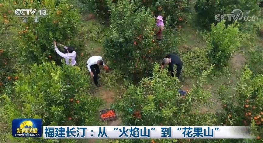 福建长汀：从“火焰山”到“花果山”