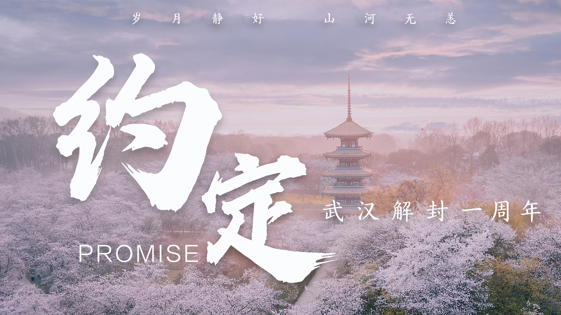 武汉解封一周年| 赏樱花,吃热干面 共赴春天的约定