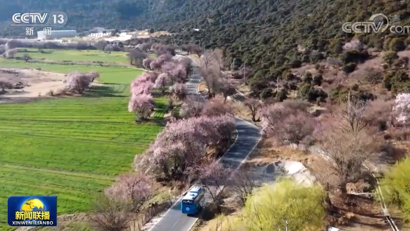 奋力谱写雪域高原长治久安和高质量发展新篇章——习近平总书记在西藏考察引发各族干部群众热烈反响