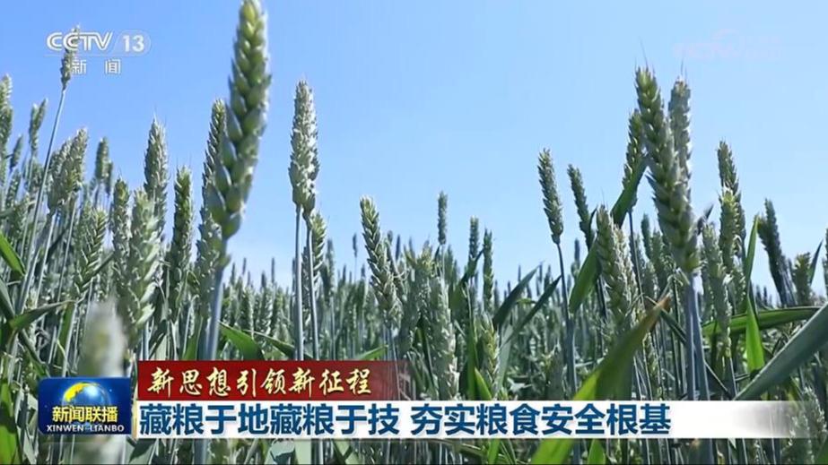 【新思想引领新征程】藏粮于地藏粮于技 夯实粮食安全根基
