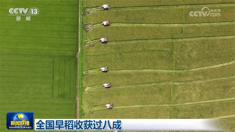 全国早稻收获过八成