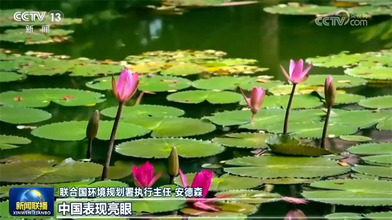 联合国环境署负责人表示中国绿色发展成就非凡