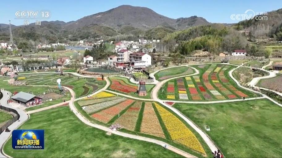 烂漫春光好 赏花正当时