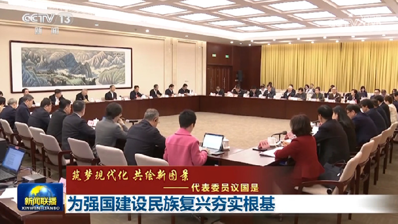 【筑梦现代化 共绘新图景——代表委员议国是】为强国建设民族复兴夯实根基