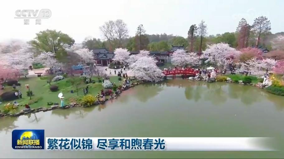 繁花似锦 尽享和煦春光