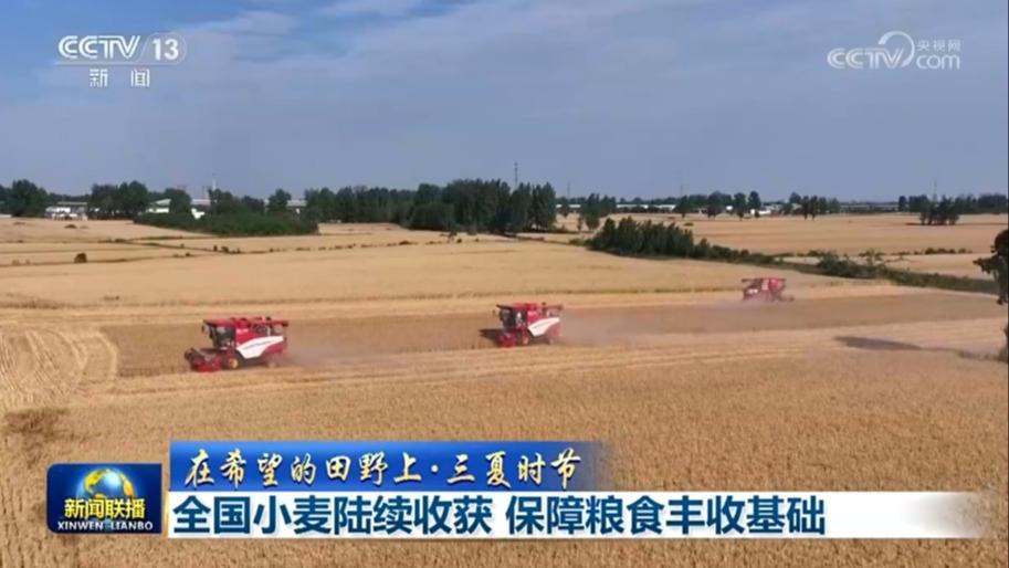 【在希望的田野上·三夏时节】全国小麦陆续收获 保障粮食丰收基础