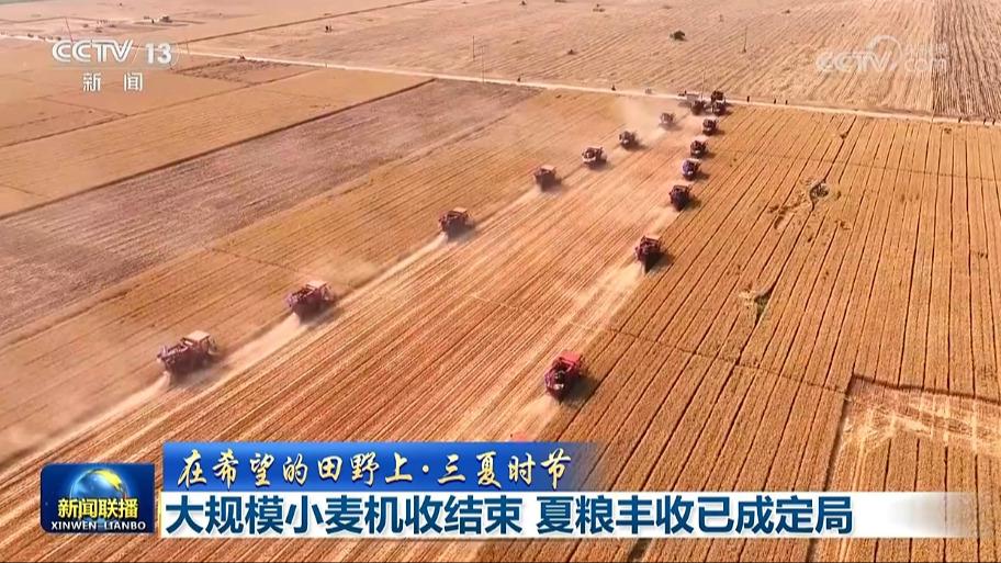 【在希望的田野上·三夏时节】大规模小麦机收结束 夏粮丰收已成定局