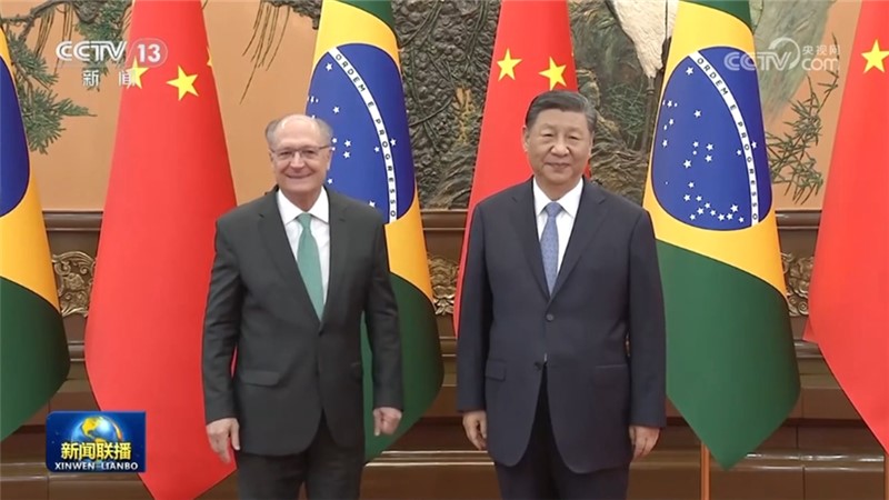 习近平会见巴西副总统