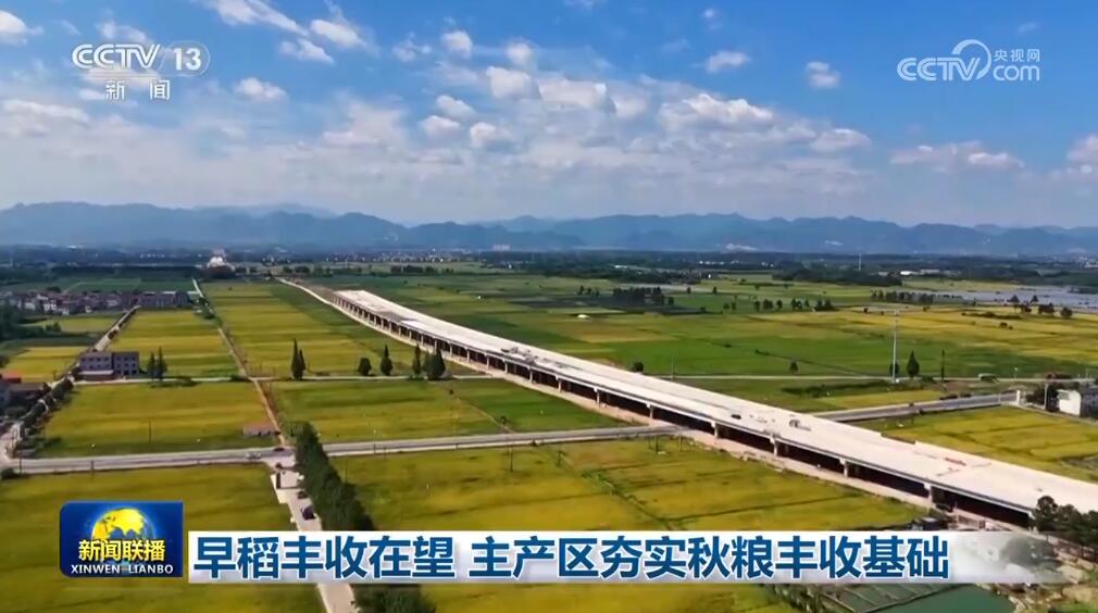早稻丰收在望 主产区夯实秋粮丰收基础