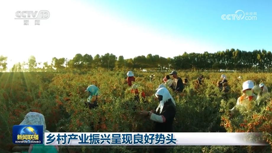 乡村产业振兴呈现良好势头