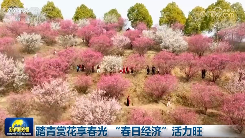踏青赏花享春光 “春日经济”活力旺