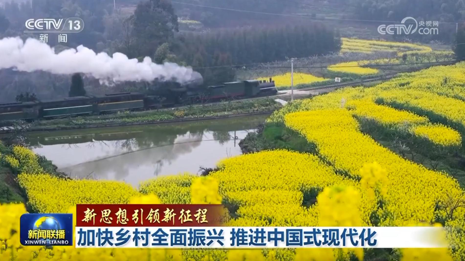 【新思想引领新征程】加快乡村全面振兴 推进中国式现代化