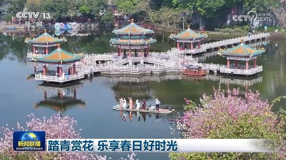 踏青赏花 乐享春日好时光