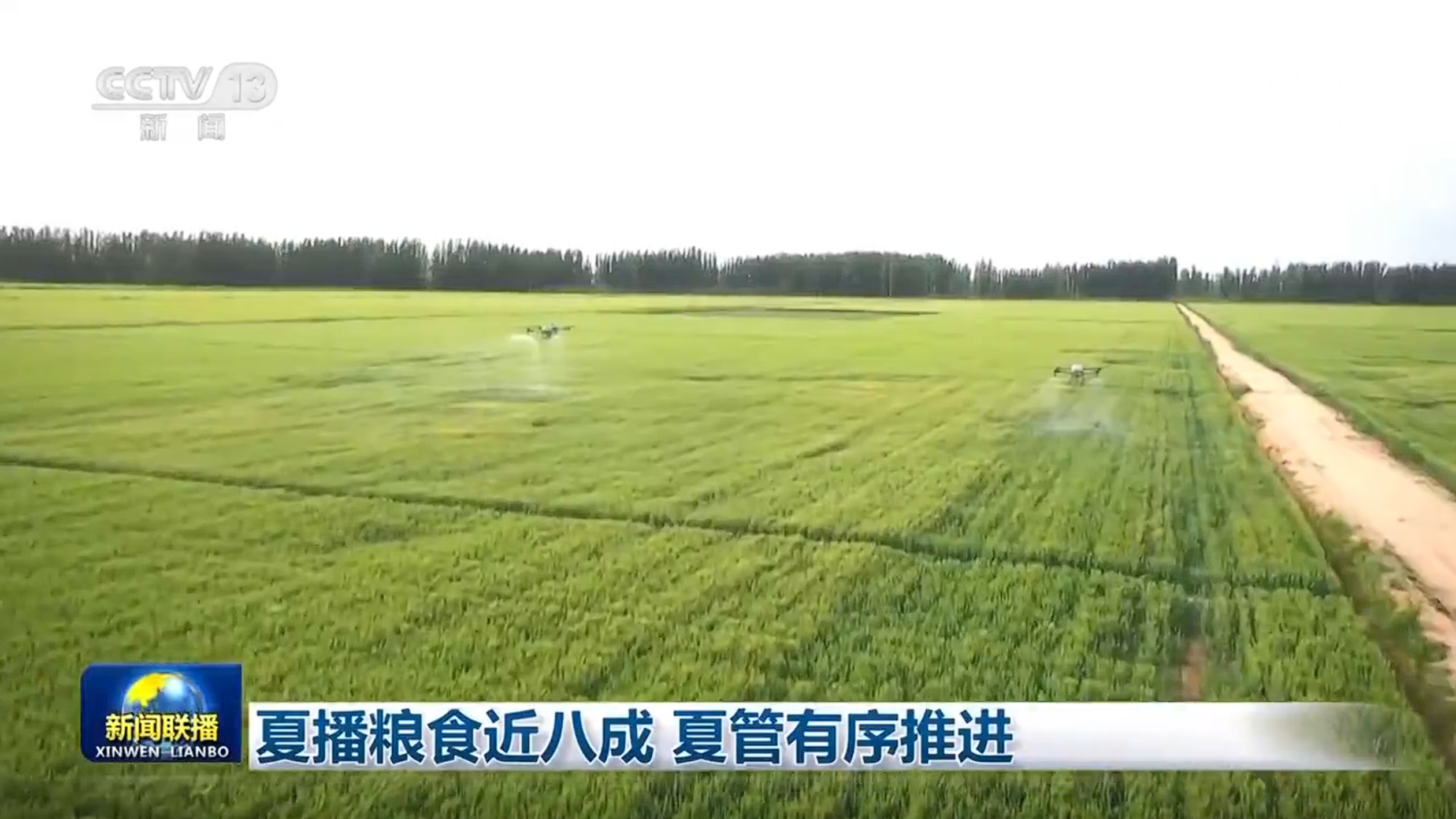 夏播粮食近八成 夏管有序推进