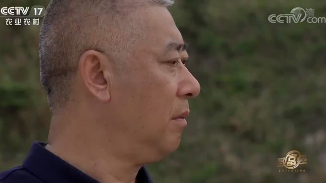 致富经20200521海棠园里的花样财富