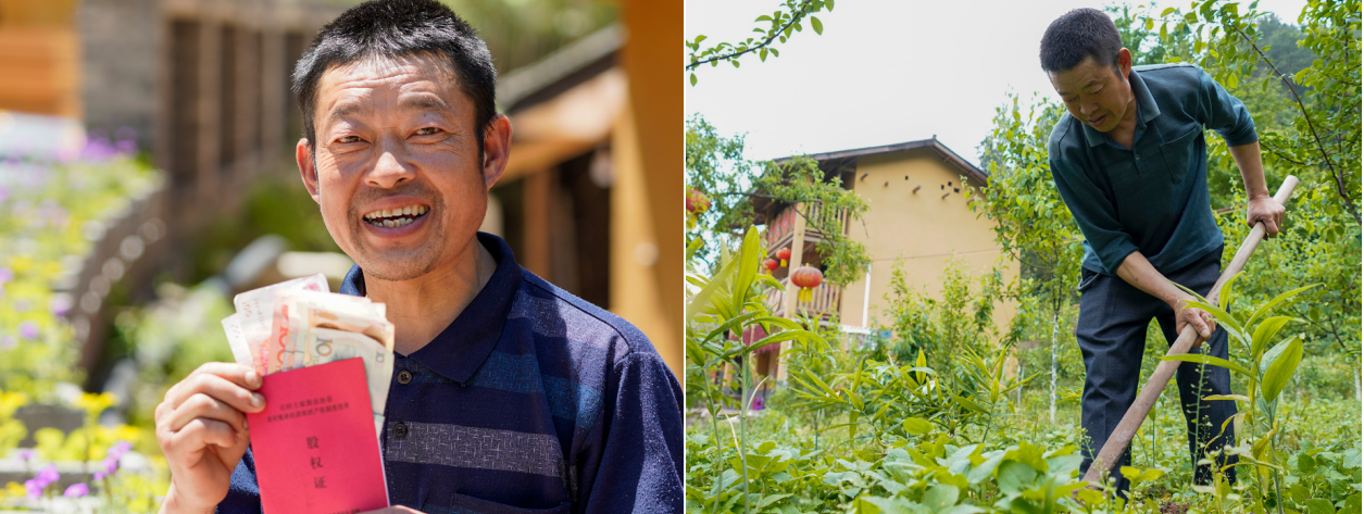 Chen Peng, a villager from an impoverished household, displays his share certificate in a village collective venture and his dividends for the year 2019 amounting to 480 yuan in Huaxi Village of Zhongyi Townshi; Chen tends a contracted sealwort field in Huaxi Village of Zhongyi Township.