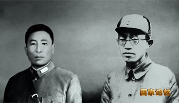 国家记忆20210728开国大将经典战例围笼织网