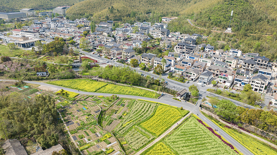 湖州安吉县天荒坪镇余村村