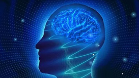 新研究：“记忆闪存法”或可增强孤独症患者学习能力