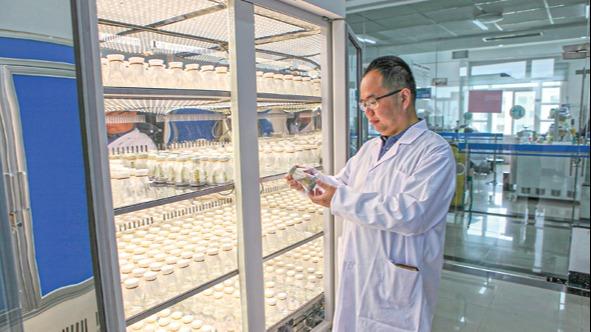 Zhou Lei: Post-80s rice breeder
