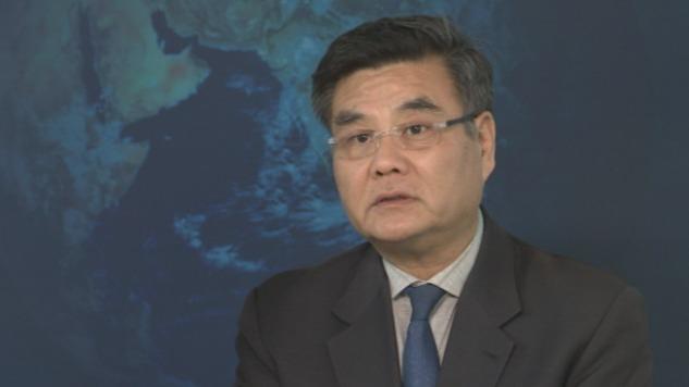 Cui Hongjian: China Should Play a Leading Role in Global Governance