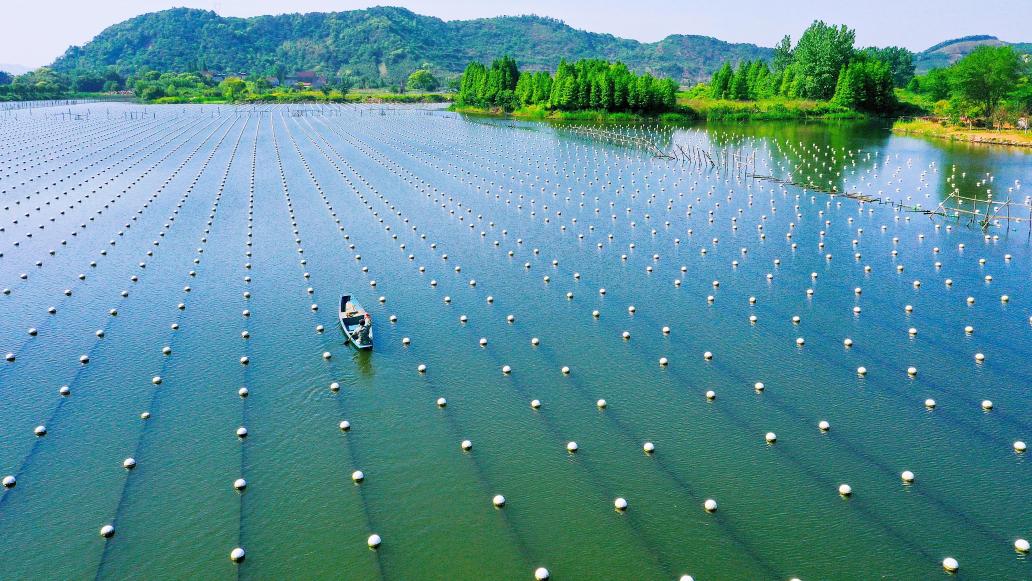 中国首个水产养殖领域世界级农业文化遗产项目诞生