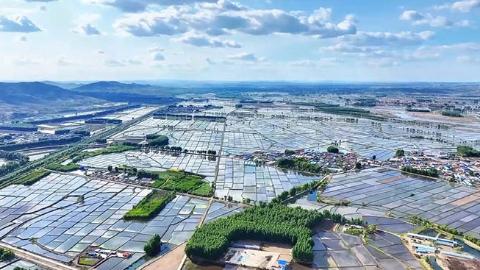 超梦幻！15万亩稻田开启“天空农场”模式