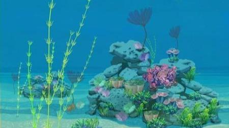 青年学者发现已知最早轮藻化石 陆地植物起源有了关键证据