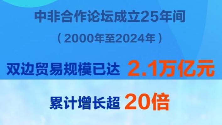 25年年均增速达14.2% 中非贸易规模已超2万亿元