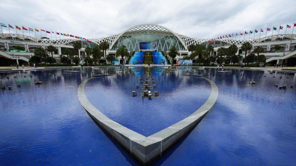 China-South Asia Expo opens with focus on trade, emerging industries