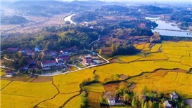 自然资源部：未来国土空间规划要重点盘活优