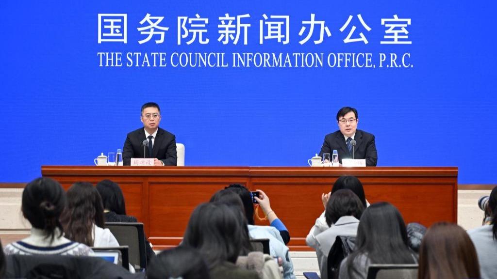 China's economy poised to achieve annual growth target with steady November momentum