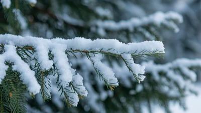 中东部大范围雨雪即将上线 河南陕西等地有