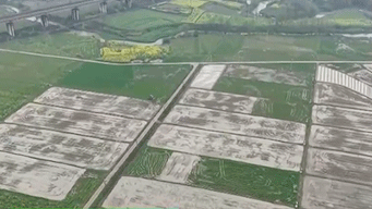 农业农村部：精选良种培育壮秧 南方早稻生产技术意见发布