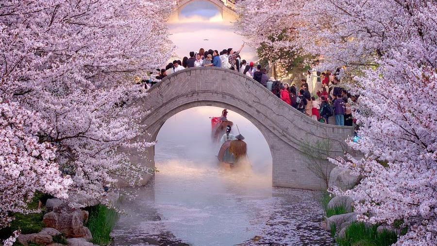 Vibrant spring drives expansion in China's cultural, tourism market