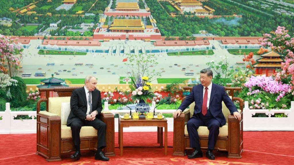 Xi, Putin have tea chat in Beijing