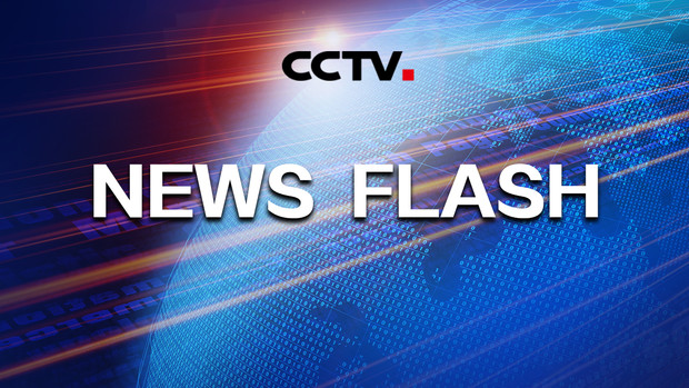 Xi makes instructions on coal mine accident in north China